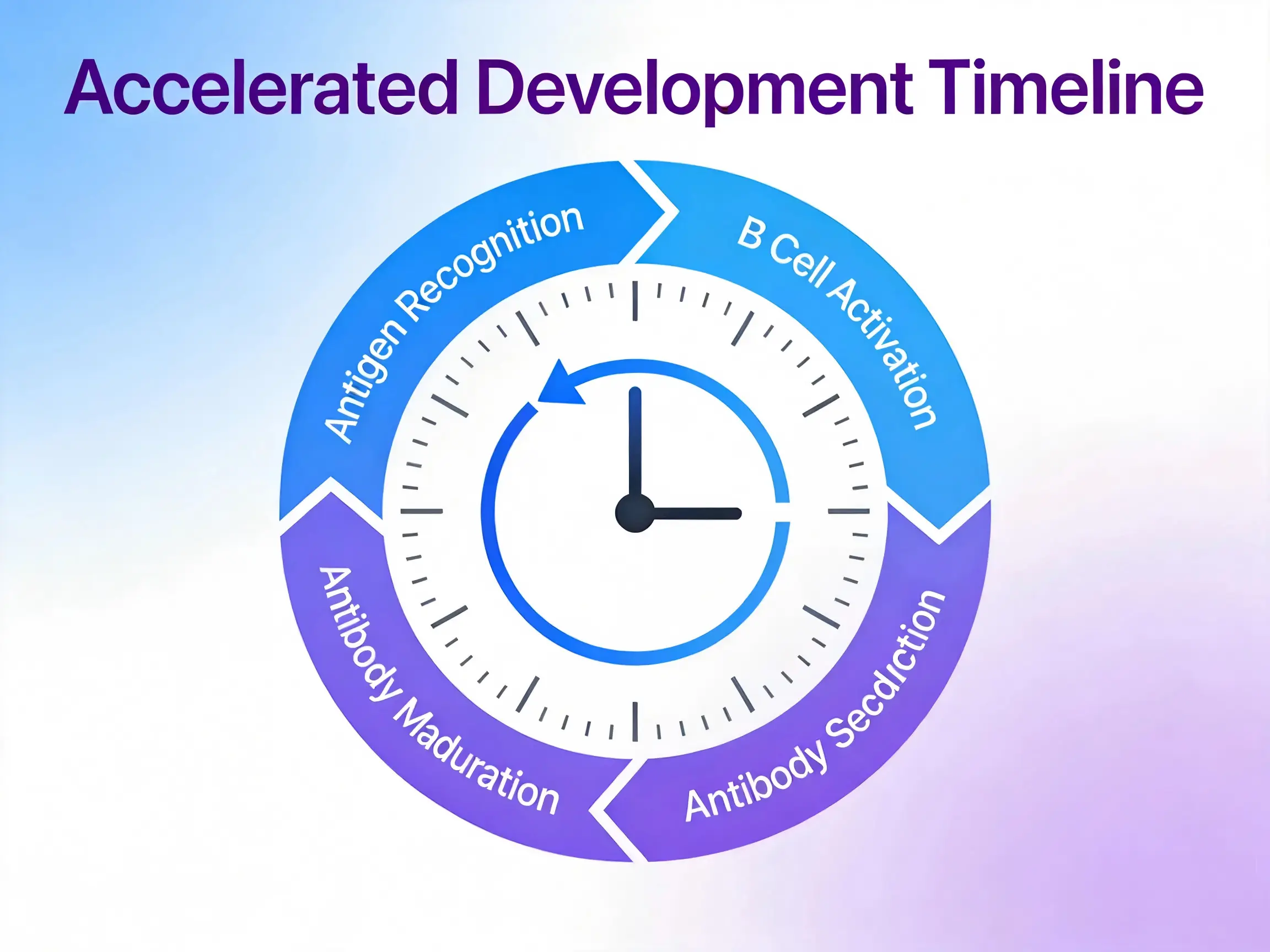 50% Reduction in Development Timeline